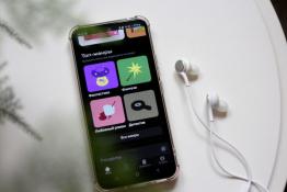  Дарья Плаксина