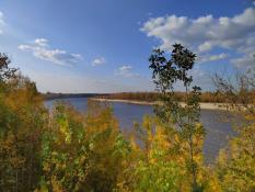 ИА "Тюменская линия"