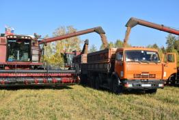 администрация Бердюжского округа