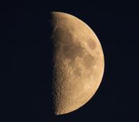  Евгения Шевцова, ИА "Тюменская линия"