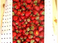 управление Россельхознадзора по Тюменской области, ЯНАО и ХМАО - Югре