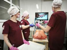 ИА "Тюменская линия"