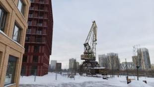 Инна Пахомова, ИА "Тюменская линия"