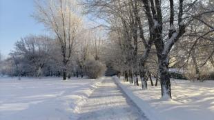 Инна Пахомова, ИА "Тюменская линия"