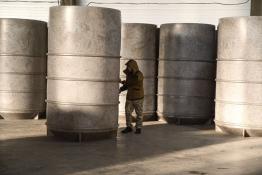 Сергей Елесин, ИА "Тюменская линия" (архив)