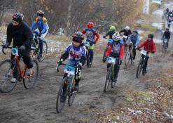 департамент по спорту и молодежной политике администрации Тюмени