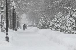 Сергей Елесин, ИА "Тюменская линия"