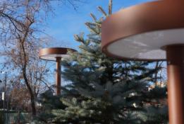 из Telegram-канала Максима Афанасьева