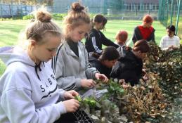 Областного центра профилактики и реабилитации