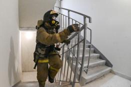 Сергей Елесин, ИА "Тюменская линия"
