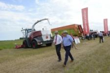 «Областной день поля — 2013» фото Сергея Русанова