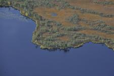 Досрочное голосование на выборах губернатора Тюменской области! 12 сентября 2014г.