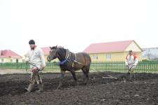 Лучший тракторист УРФО живет в Тюменской области! 26 сентября 2014г